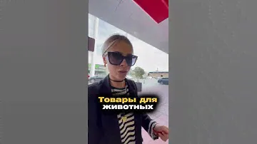Почему в Европе за корм собак не нужно платить и почему это легально?